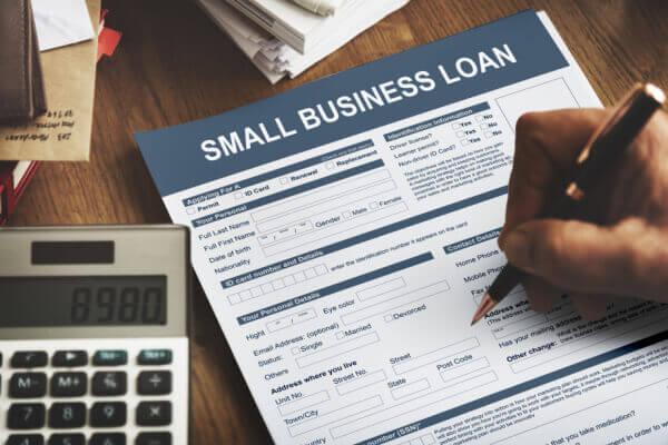 Understanding the Varied Landscape of Business Loans