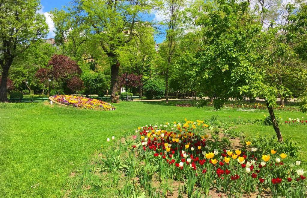 Charming Outdoor Escapes: Idyllic ⁤Gardens and ⁣Beaches for Perfect Photos